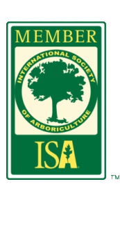 isa-member
